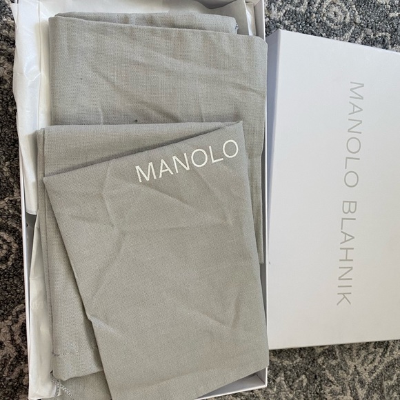 Manolo Blahnik Iluna buckle slide - Picture 3 of 5